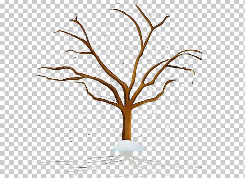 Tree Branch Leaf Twig Woody Plant PNG, Clipart, Branch, Leaf, Line, Paint, Plant Free PNG Download