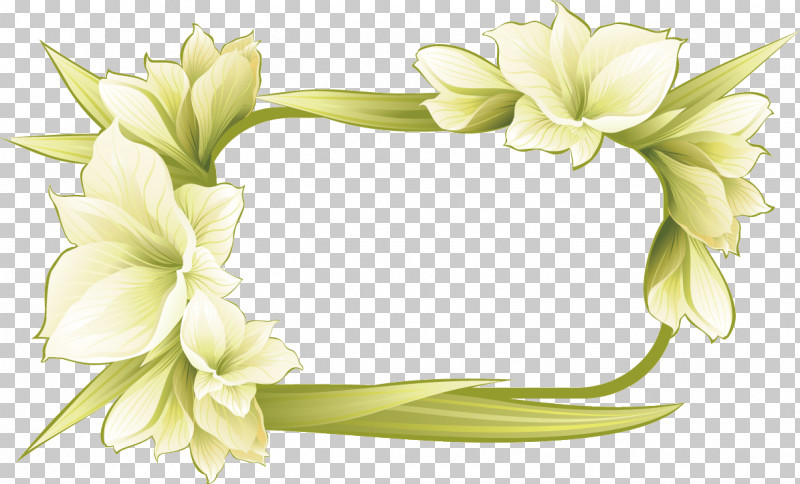 Flower Rectangular Frame Floral Rectangular Frame PNG, Clipart, Cut Flowers, Floral Rectangular Frame, Flower, Flower Rectangular Frame, Hair Accessory Free PNG Download