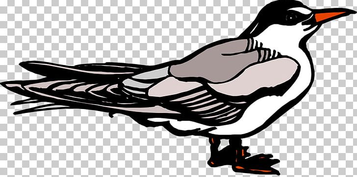 Duck Cartoon Beak PNG, Clipart, Animals, Art, Artwork, Beak, Bird Free PNG Download