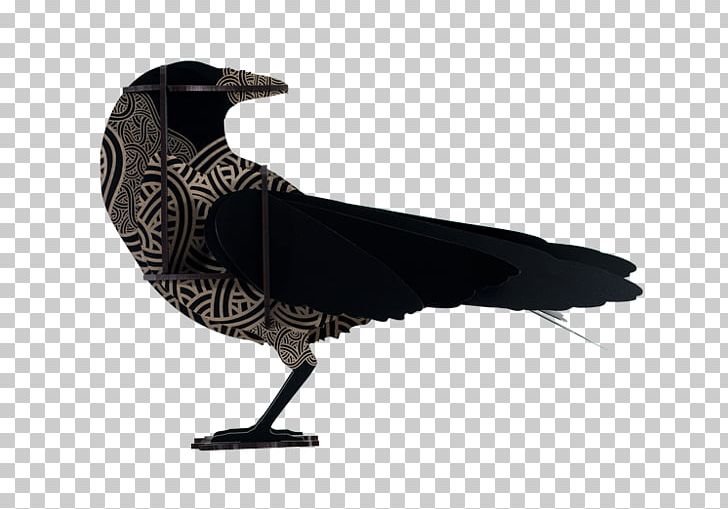 Special Edition Hybrid Catalog SOHO PNG, Clipart, Beak, Bird, Catalog, Common Raven, Crow Free PNG Download
