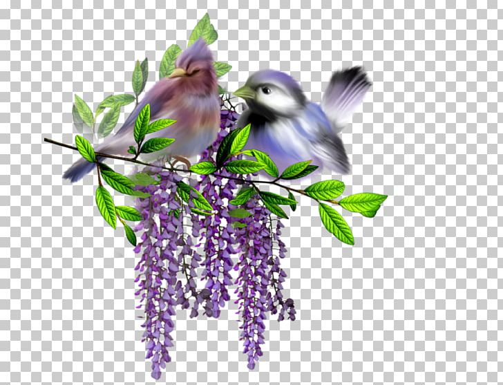 Nowruz Daytime Soul Samanu Spring PNG, Clipart, Author, Bird, Birthday, Branch, Cut Flowers Free PNG Download