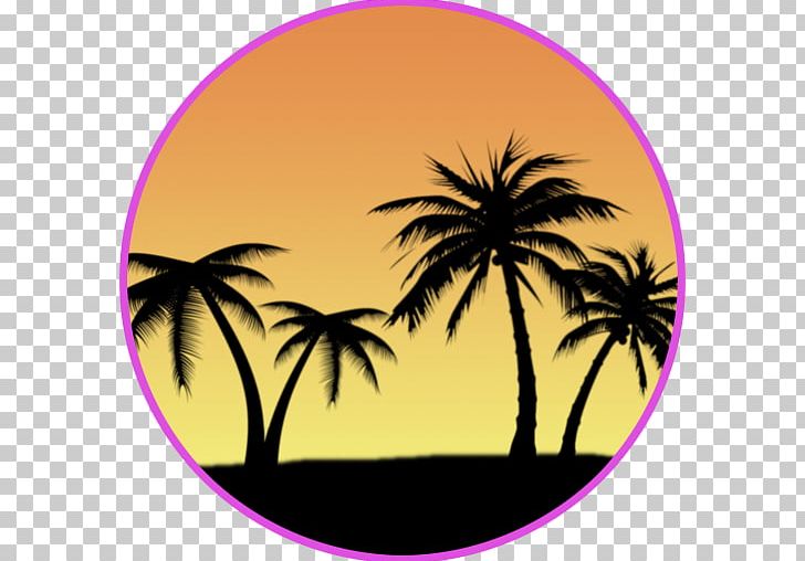 Palm Trees Date Palm PNG, Clipart, App, Arecales, Coconut, Date Palm, Food Drinks Free PNG Download