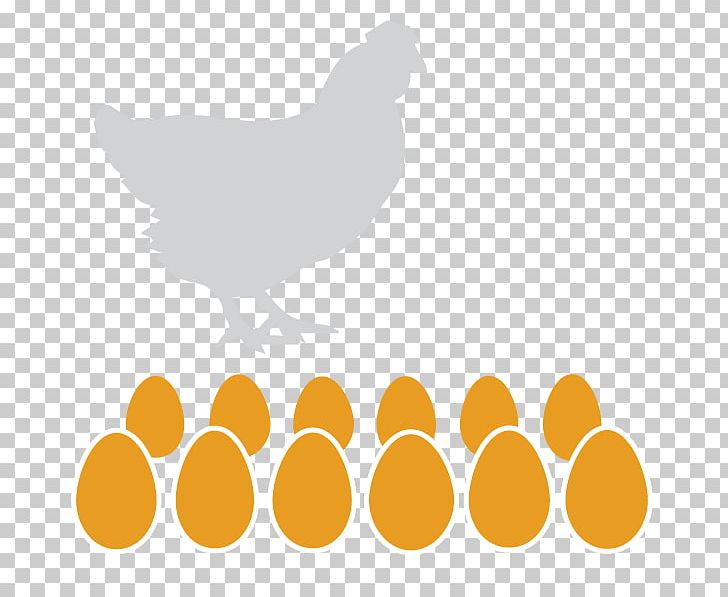 Rooster Chicken Free-range Eggs Buffalo Wing PNG, Clipart, Animals, Beak, Bird, Bohemia, Buffalo Wing Free PNG Download