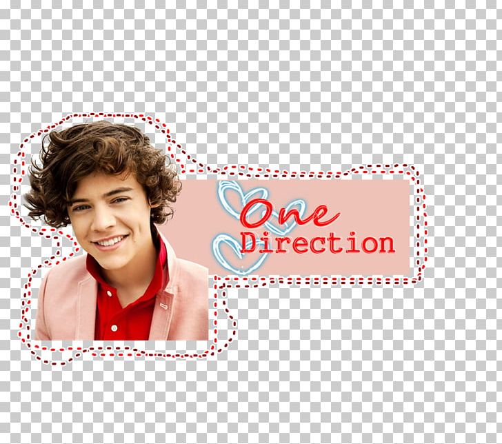 Harry Styles: Live On Tour One Direction Boy Band Musician PNG, Clipart, Boy Band, Brand, Celebrity, Cheek, Composer Free PNG Download