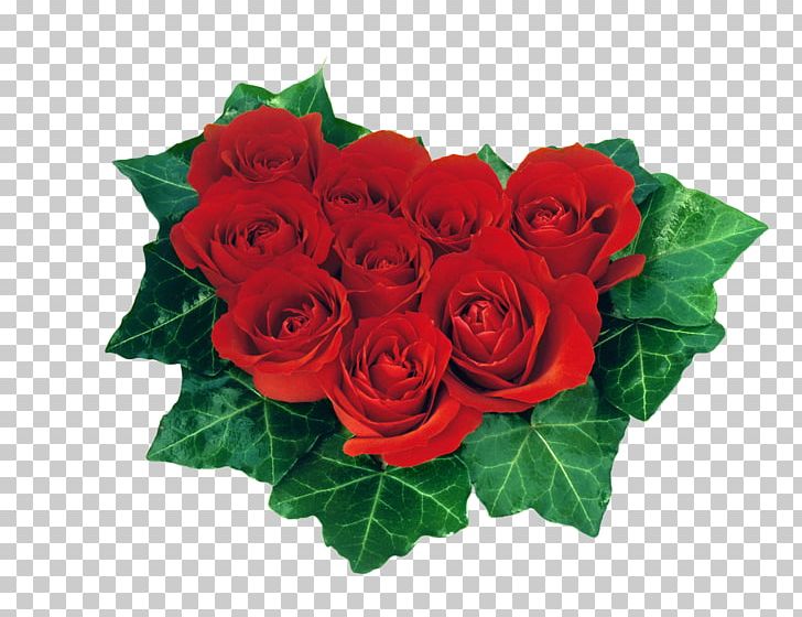 Heart Valentine's Day Rose Red Desktop PNG, Clipart, Annual Plant, Color, Cut Flowers, Desktop Wallpaper, Floral Design Free PNG Download