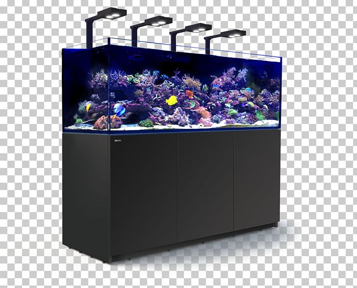 Red Sea REEFER Peninsula Aquarium Seawater PNG, Clipart, Aquarium, Aquarium Lighting, Cobalt Blue, Coral, Deluxe Free PNG Download