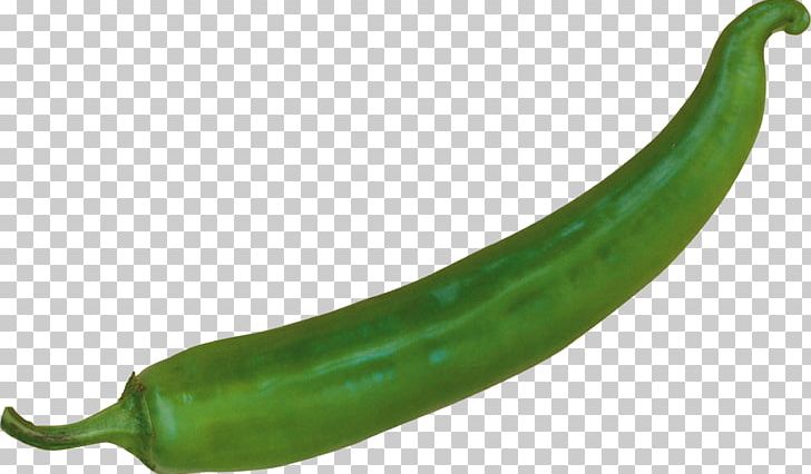 Serrano Pepper Pasilla Cayenne Pepper Chili Pepper Peperoncino PNG, Clipart, Bell Pepper, Bell Peppers And Chili Peppers, Capsicum, Capsicum Annuum, Cayenne Pepper Free PNG Download