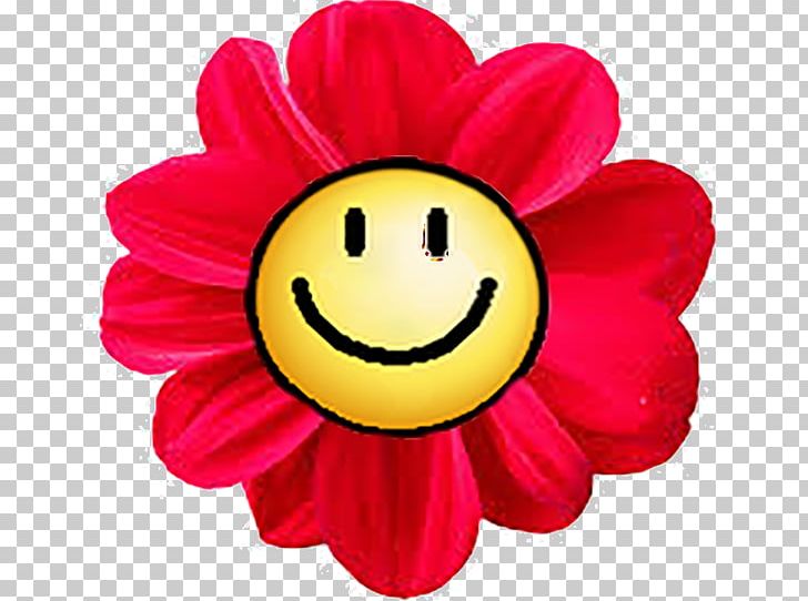 Smiley Flower Sticker PNG, Clipart, Color, Cut Flowers, Dahlia, Download, El Risitas Free PNG Download