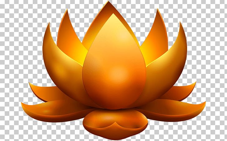 Gold Lotus Diwali PNG, Clipart, Diwali, Holidays Free PNG Download