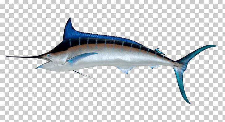 Atlantic Blue Marlin Swordfish Billfish PNG, Clipart, Animal Figure, Atlantic Blue Marlin, Bait Ball, Billfish, Black Marlin Free PNG Download