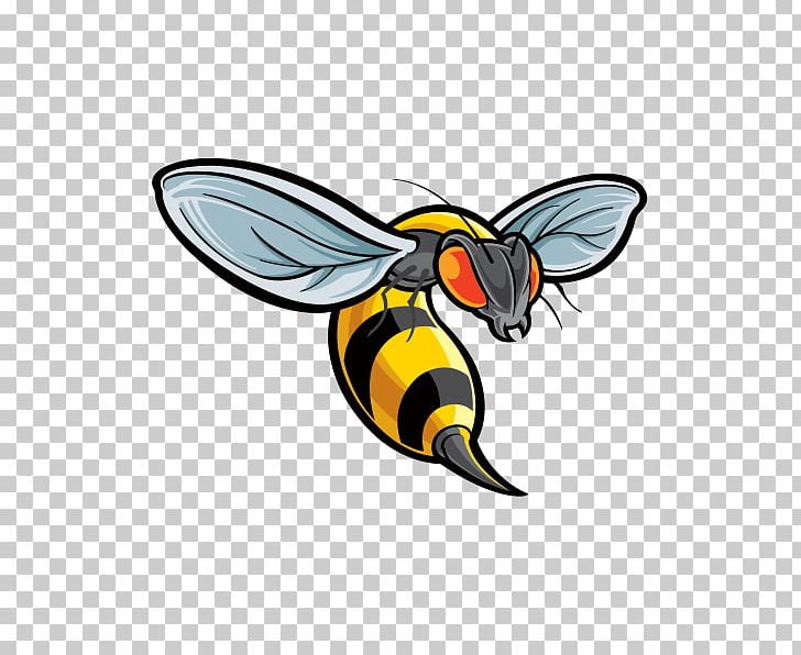 Bee Sting Hornet Characteristics Of Common Wasps And Bees PNG, Clipart, Allergy, Animal Bite, Apitoxin, Artwork, Bee Free PNG Download