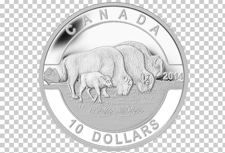 Canada Silver Coin Coin Set PNG, Clipart, Body Jewelry, Canada, Carnivoran, Coin, Coin Set Free PNG Download