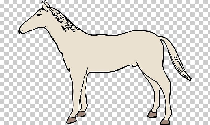 Mustang Equestrian PNG, Clipart, Donkey, Download, Equestrian, Foal, Horse Free PNG Download