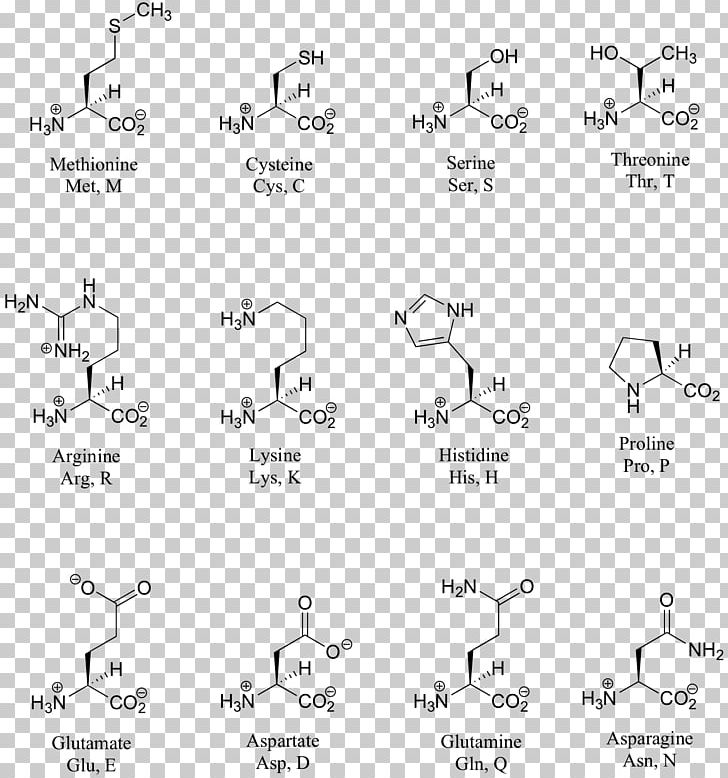 Structure Chart Amino Acid PNG, Clipart, Acid, Amine, Amino Acid, Angle, Area Free PNG Download