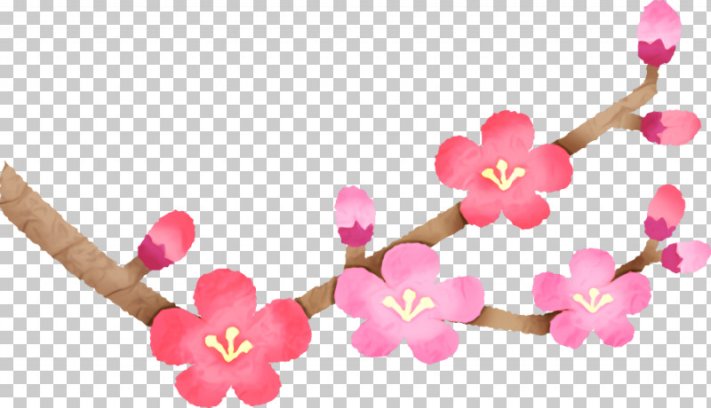 Cherry Blossom PNG, Clipart, Birthday, Blossom, Cherry, Cherry Blossom, Com Free PNG Download