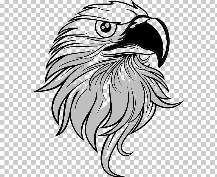 Bald Eagle PNG, Clipart, Art, Bald Eagle, Beak, Bird, Bird Of Prey Free PNG Download