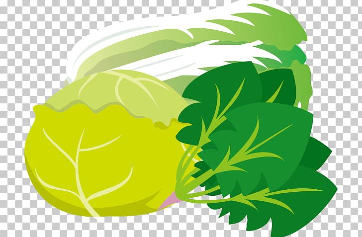 Greens Illustration Napa Cabbage Bargli Sabzavotlar PNG, Clipart, Bargli Sabzavotlar, Cabbage, Flower, Food, Fruit Free PNG Download