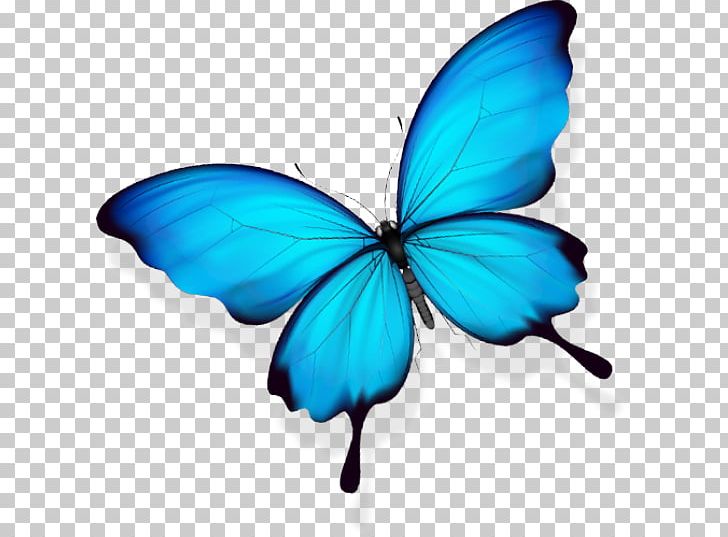 Butterfly Gratis PNG, Clipart, Brush Footed Butterfly, Butterflies, Butterfly Group, Butterfly Wings, Download Free PNG Download