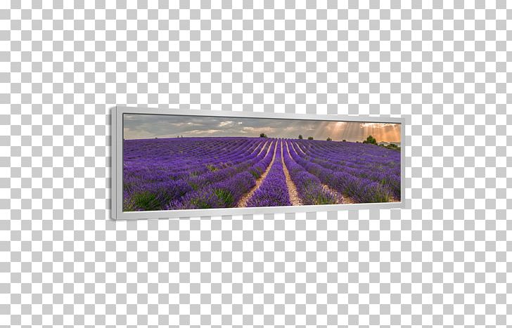 Painting Canvas Rectangle Lavender PNG, Clipart, Canvas, Centimeter, Lavender, Lavender Field, Painting Free PNG Download
