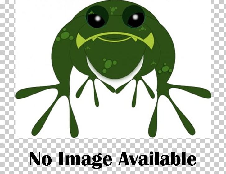 True Frog Tree Frog Amphibians PNG, Clipart, Amphibian, Amphibians, Animal, Animals, Australian Green Tree Frog Free PNG Download
