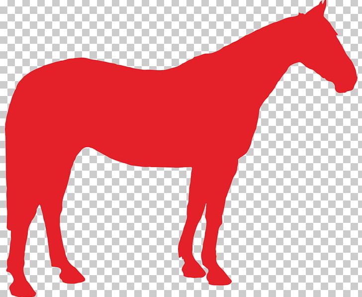 Appaloosa Mule Mustang British Spotted Pony PNG, Clipart, Appaloosa, Arnis, Breed, Colt, Donkey Free PNG Download