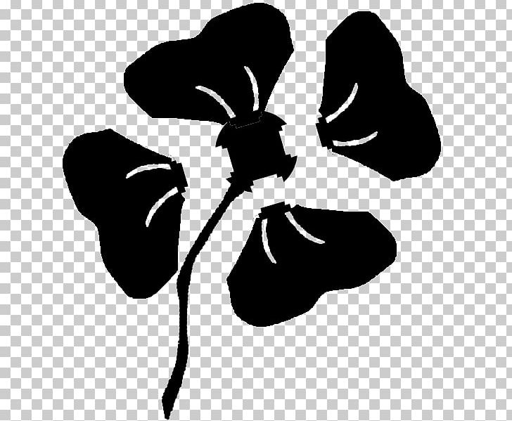 Common Poppy Flower Black PNG, Clipart, Artwork, Black, Black And White, Clause, Common Poppy Free PNG Download