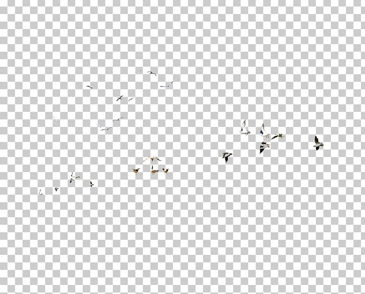 Drawing PNG, Clipart, Angle, Animals, Area, Bird, Bird Cage Free PNG Download