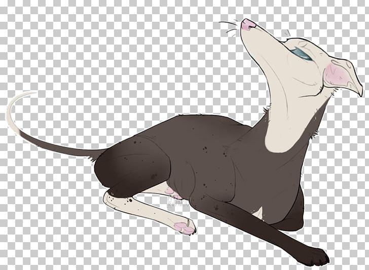 Italian Greyhound Cat Tail PNG, Clipart, Animals, Animated Cartoon, Carnivoran, Cat, Cat Like Mammal Free PNG Download