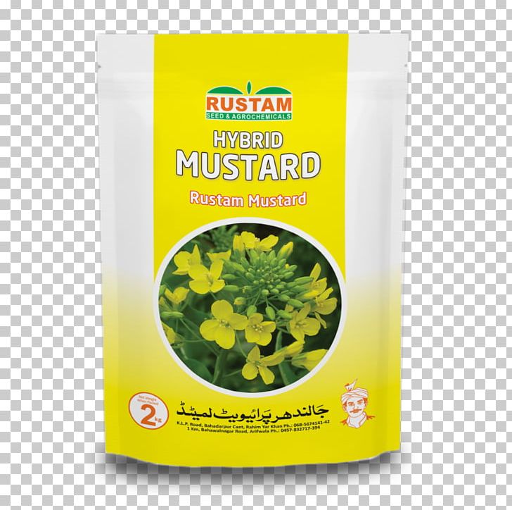 Jalandhar Mustard Plant Leaf Vegetable Mustard Seed PNG, Clipart, Crop, Herb, Herbal, Herbalism, Ifwe Free PNG Download