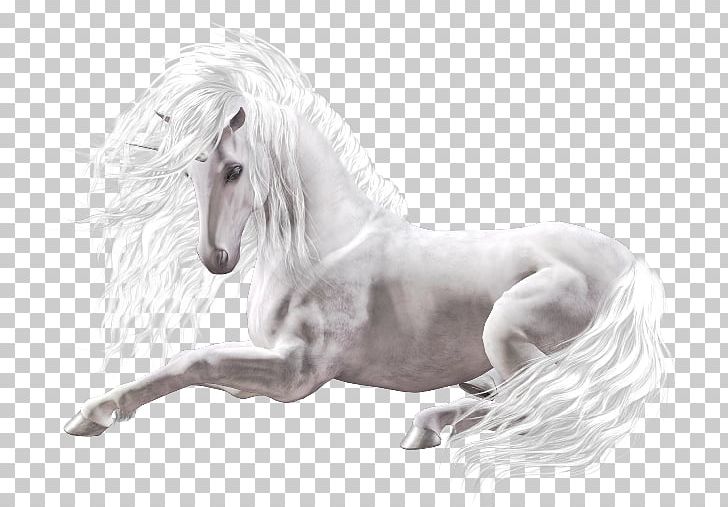 Unicorn White Horse Gift PNG, Clipart, Black And White, Christmas, Computer Graphics, Fantasy, Fictional Character Free PNG Download