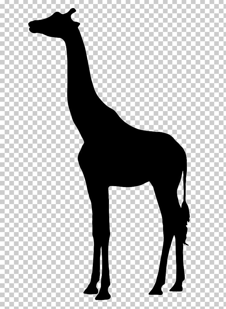Silhouette West African Giraffe PNG, Clipart, Animals, Black And White, Giraffe, Giraffidae, Graphic Design Free PNG Download