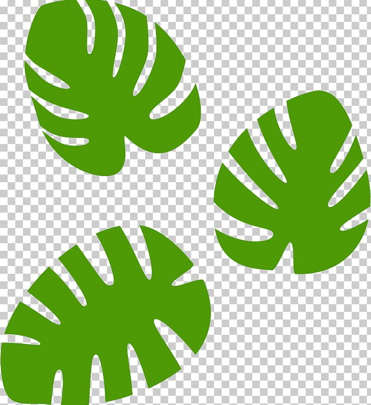 Leaf Swiss Cheese Plant Plant Stem PNG, Clipart, Area, Artwork, Character, Grass, Green Free PNG Download