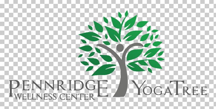 Yoga Tree Pennridge Wellness Center 0 Health PNG, Clipart,  Free PNG Download