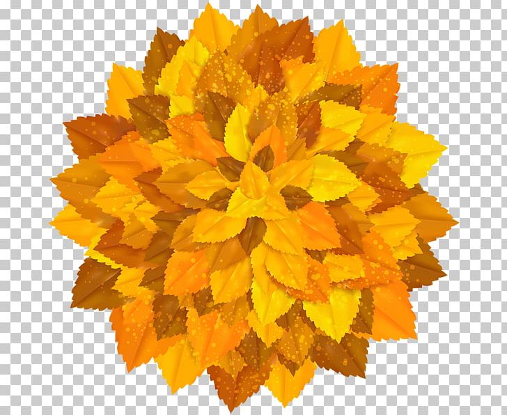 Autumn PNG, Clipart, Art, Autumn, Decorative Arts, Editing, Flower Free PNG Download