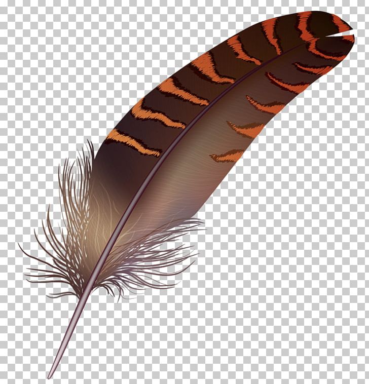 Bird Feather Quill Paint PNG, Clipart, Animal, Animals, Asuka, Bird, Brown Free PNG Download