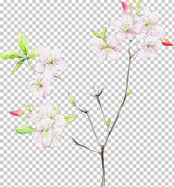 Flower Desktop WUXGA Wide XGA PNG, Clipart, 1080p, Blossom, Branch, Cherry Blossom, Computer Monitors Free PNG Download