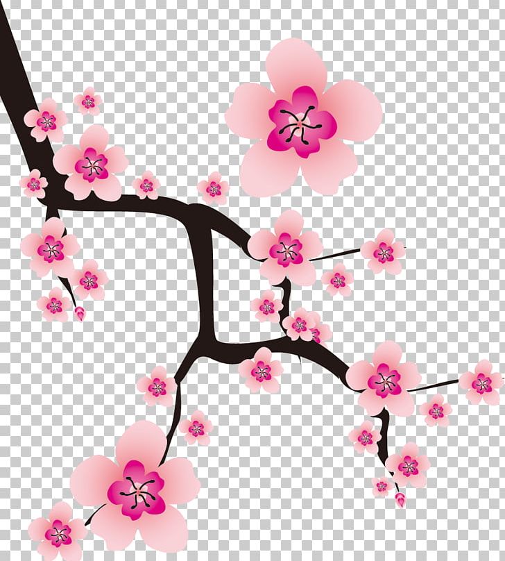 Plum Blossom Cherry Blossom Flower PNG, Clipart, Blossom, Branch, Cherry, Cherry Blossom, Cherry Plum Free PNG Download