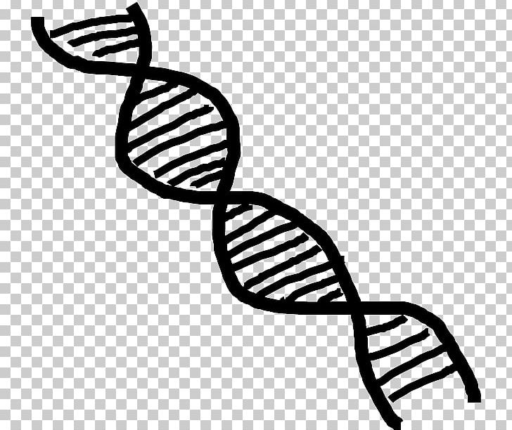 DNA Nucleic Acid Double Helix PNG, Clipart, Artwork, Chromosome, Computer Icons, Dna, Genetically Modified Food Free PNG Download