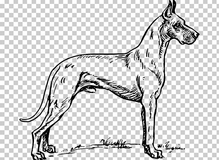 Great Dane Puppy Coloring Book PNG, Clipart, Animals, Black And White, Carnivoran, Color, Coloring Book Free PNG Download