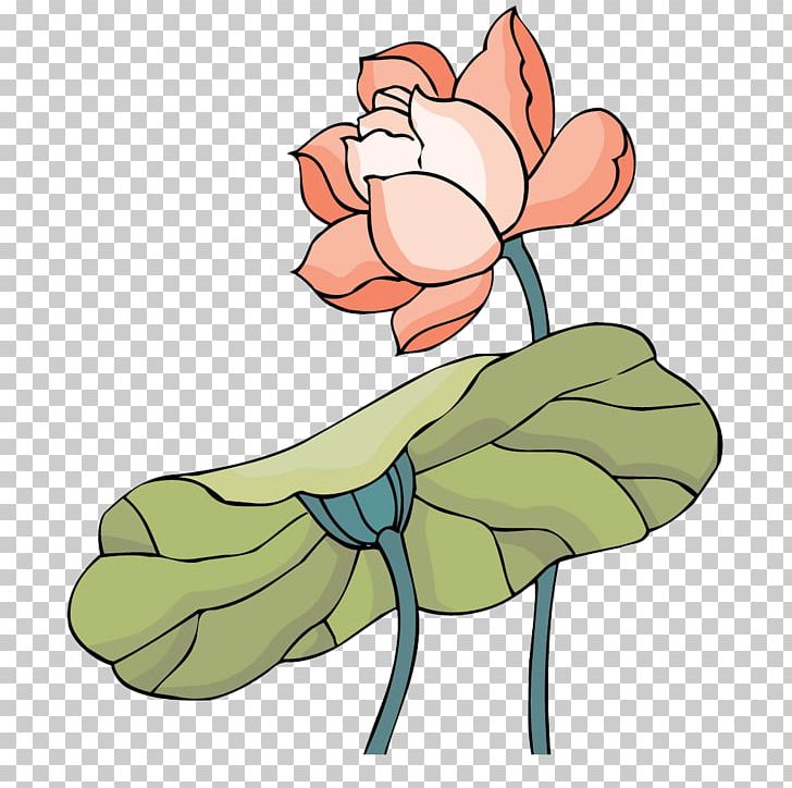 Nelumbo Nucifera Cartoon PNG, Clipart, Artwork, Comics, Cut Flowers, Drawing, Fictional Character Free PNG Download