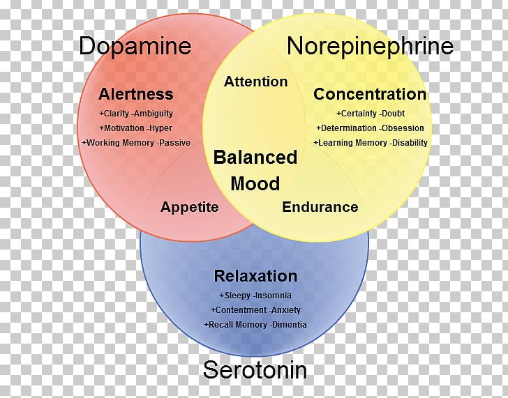Neurotransmitter Dopamine Norepinephrine Synapse Serotonin PNG, Clipart, 5ht Receptor, Brain, Brand, Circle, Diagram Free PNG Download