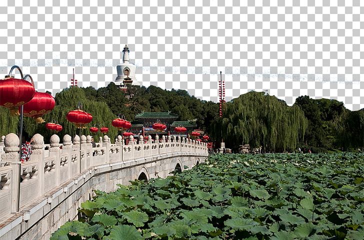 Beihai Park Odori Park Tourism PNG, Clipart, Amusement Park, Attractions, Beihai Park, Download, Famous Free PNG Download