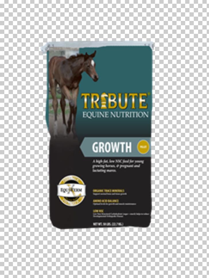 Draft Horse Equine Nutrition Nutrient Veterinarian PNG, Clipart, Animals, Beet Pulp, Brand, Draft Horse, Equine Nutrition Free PNG Download