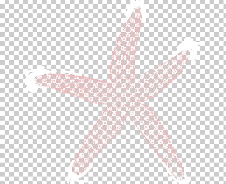 Starfish Wedding Shoes Flip-flops PNG, Clipart, Animals, Bride, Coral Sea, Echinoderm, Fish Free PNG Download