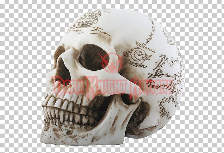 Treasure Map Skull Skeleton PNG, Clipart,  Free PNG Download