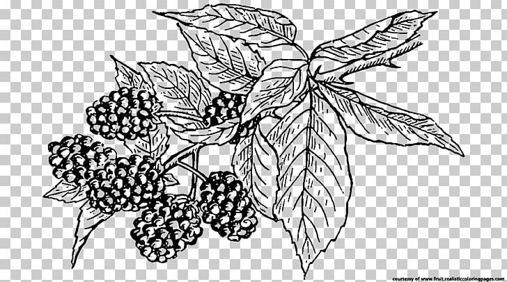 BlackBerry Fruit Mobile Phones PNG, Clipart, Artwork, Berry, Black And White, Blackberry, Color Free PNG Download
