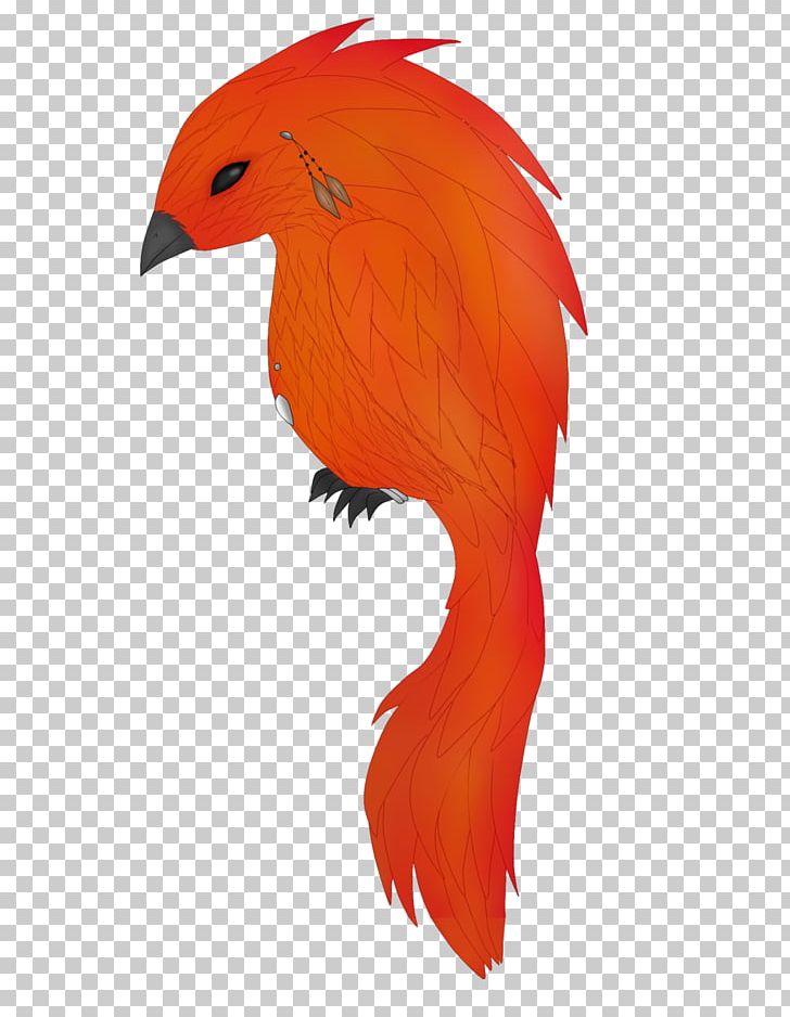 Parrot Bird Beak Feather PNG, Clipart, Art, Beak, Bird, Chicken, Chicken As Food Free PNG Download