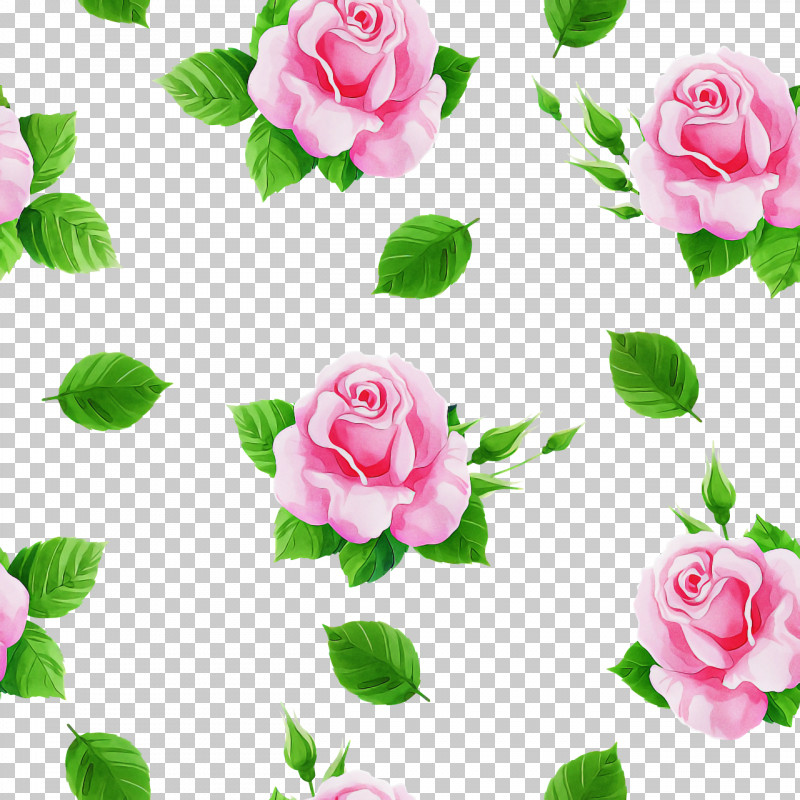 Garden Roses PNG, Clipart, Artificial Flower, Biology, Cabbage Rose, Cut Flowers, Floral Design Free PNG Download
