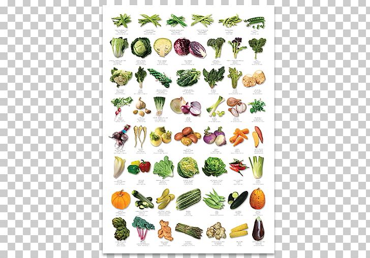 Auglis Fruit Vegetable English PNG, Clipart, Auglis, Education, English, Flora, Flower Free PNG Download
