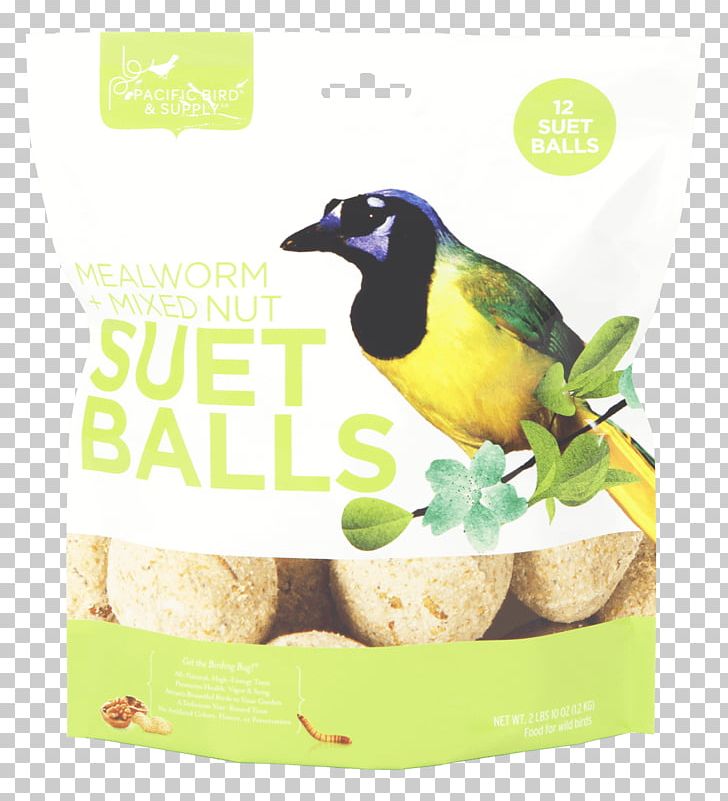 Bird Suet Cake Advertising Beak PNG, Clipart, Advertising, Animals, Ball, Beak, Bird Free PNG Download